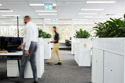 Professionals walking in a melbourne office